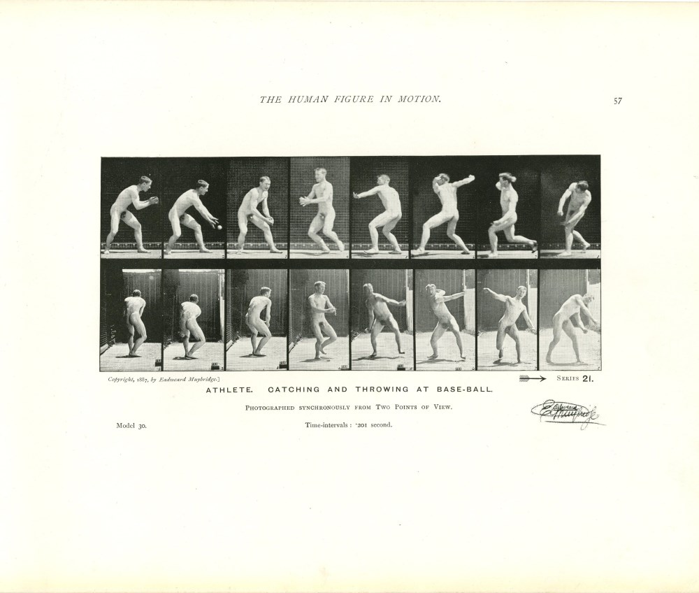 Lot #1736: EADWEARD MUYBRIDGE - Athlete: Catching and Throwing at Base-Ball - Original photomezzotint & letterpress
