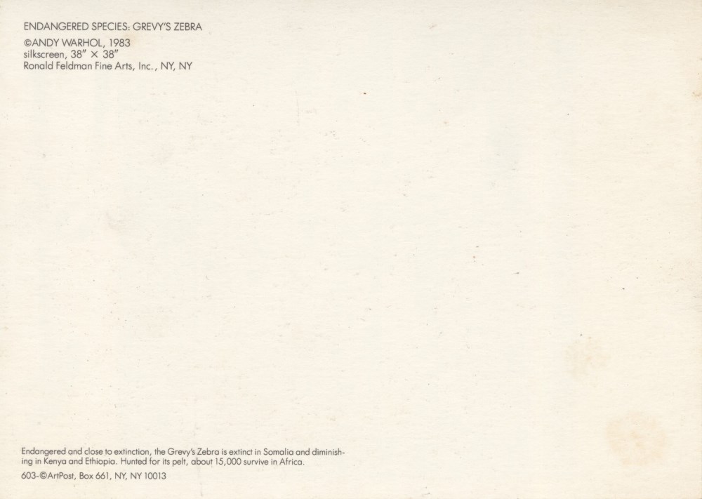 Lot #242: ANDY WARHOL - Grevy's Zebra - Color offset lithograph