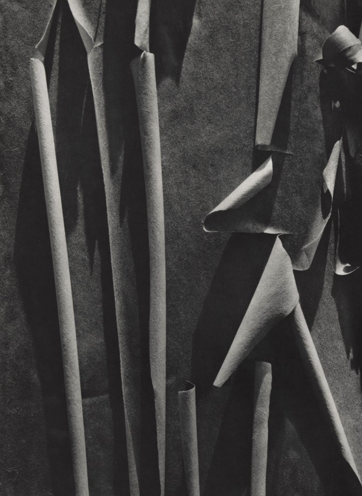 Lot #1126: ANSEL ADAMS - Madrone Bark, Santa Cruz Mountains, California - Original photogravure