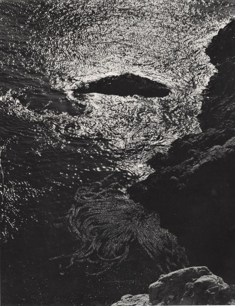 Lot #1076: EDWARD WESTON - Kelp, China Cove, Point Lobos - Original photogravure