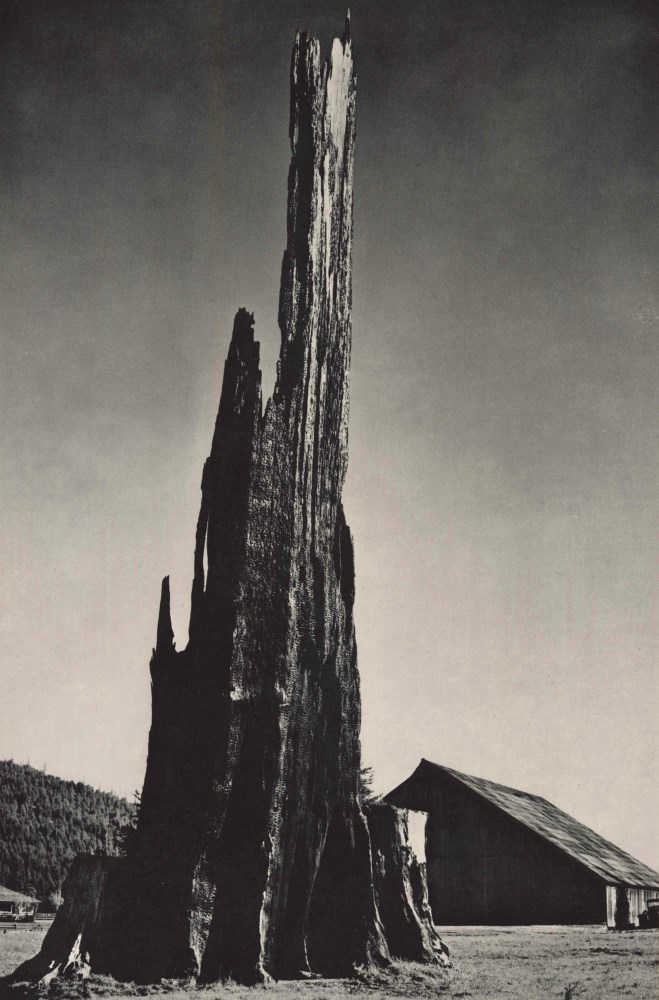 Lot #2653: ANSEL ADAMS - Old Homestead, Scotia, California - Original vintage photogravure