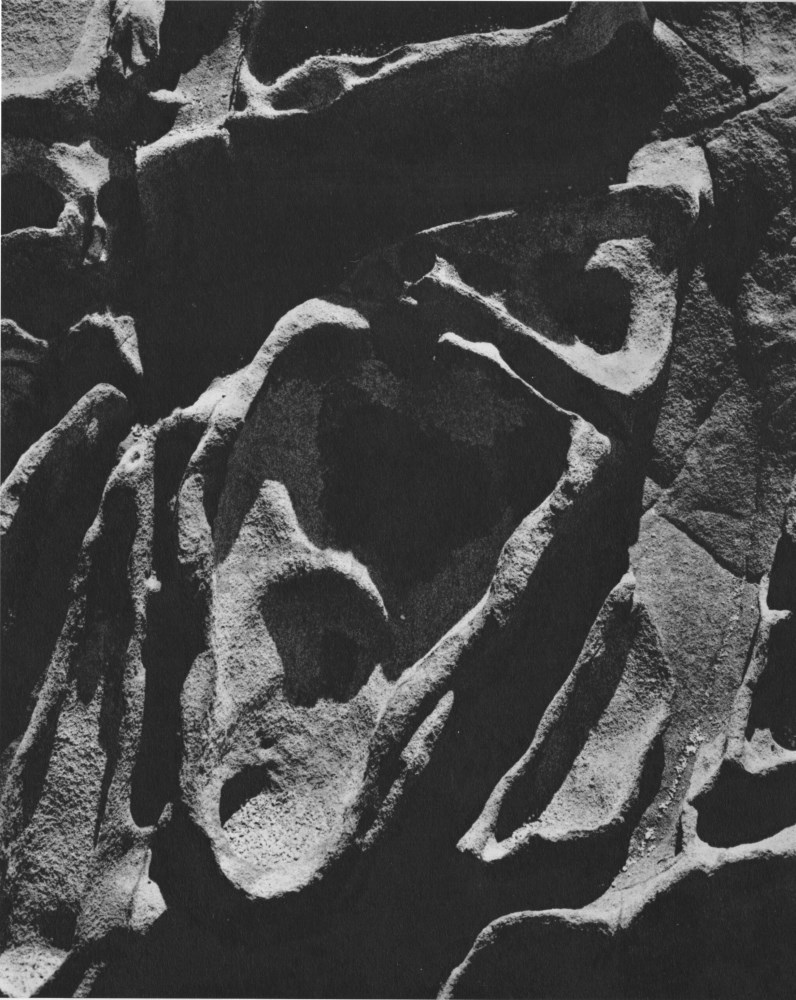 Lot #1307: EDWARD WESTON - Rock, Point Lobos - Original photogravure