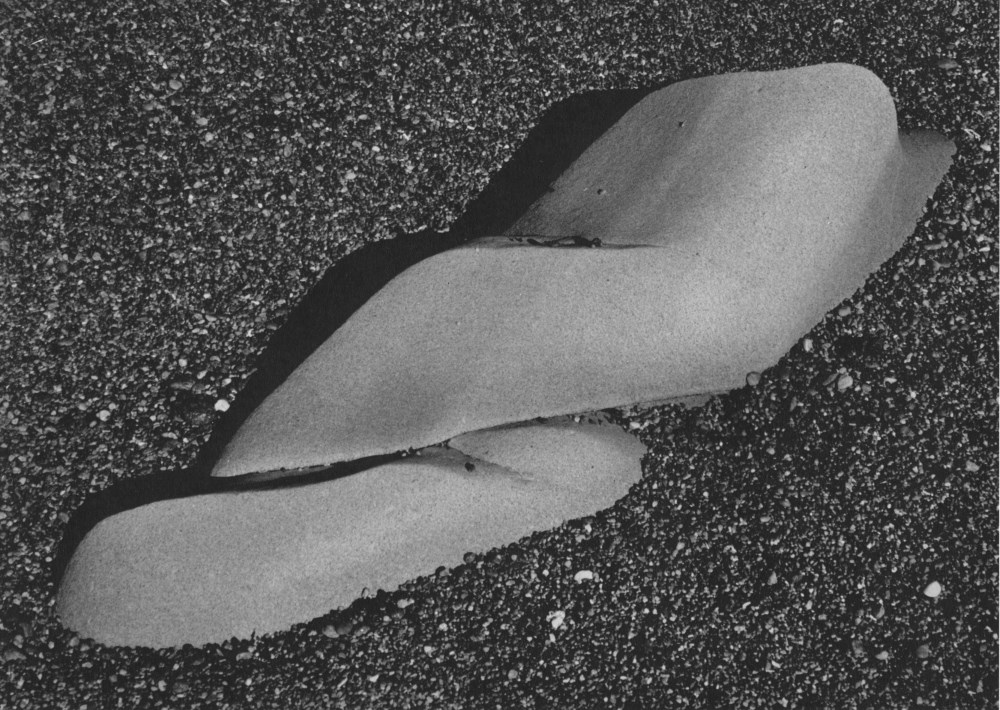 Lot #955: EDWARD WESTON - Eroded Rock, Point Lobos - Original photogravure
