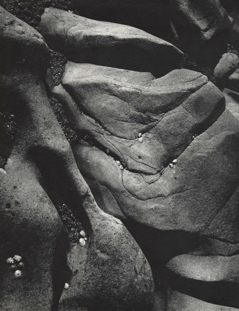 Lot #2041: ANSEL ADAMS - Rocks and Limpets, Point Lobos, California - Original vintage photogravure