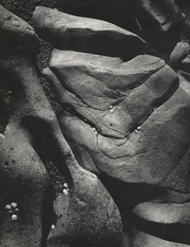 Lot #523: ANSEL ADAMS - Rocks and Limpets, Point Lobos, California - Original vintage photogravure