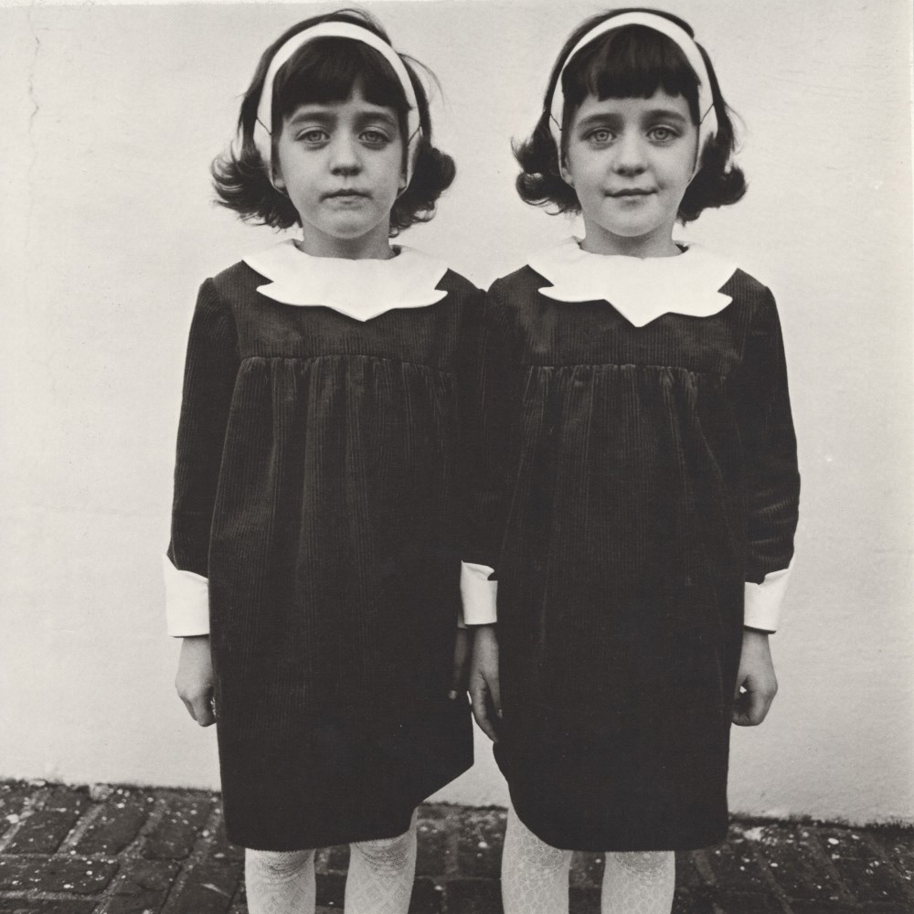 Lot #1048: DIANE ARBUS - Identical Twins, Roselle, N.J - Original vintage photogravure