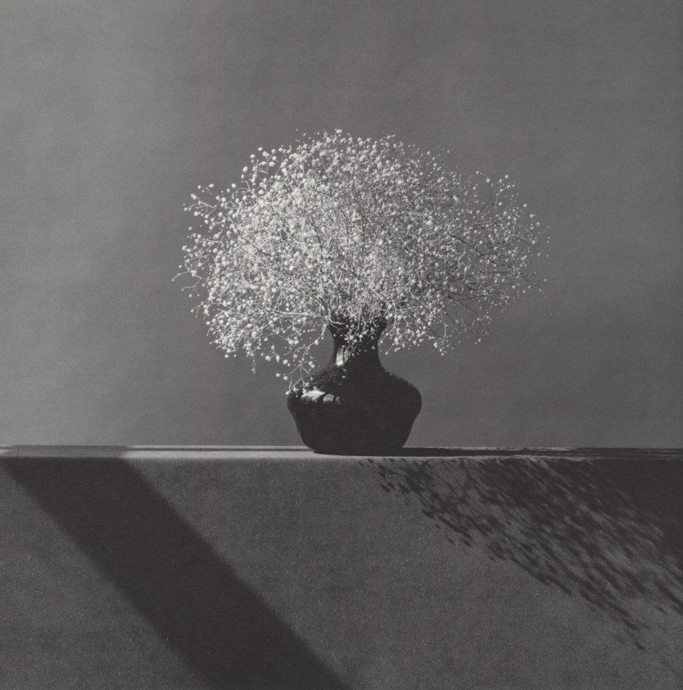 Lot #30: ROBERT MAPPLETHORPE - Baby's Breath - Original vintage photogravure