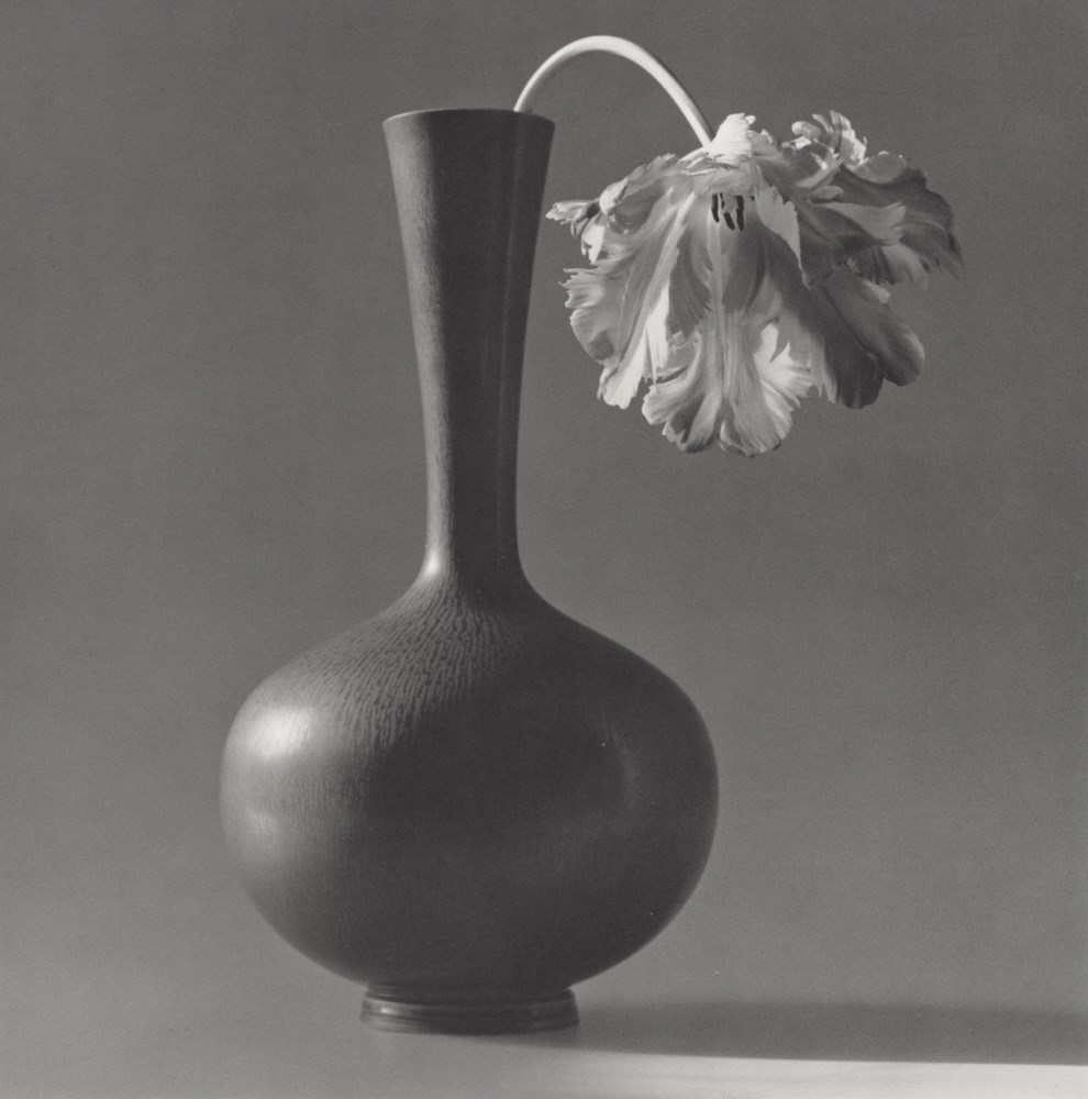Lot #501: ROBERT MAPPLETHORPE - Parrot Tulip in a Black Vase - Original vintage photogravure