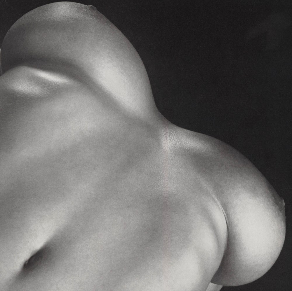 Lot #1810: ROBERT MAPPLETHORPE - Breasts - Original vintage photogravure