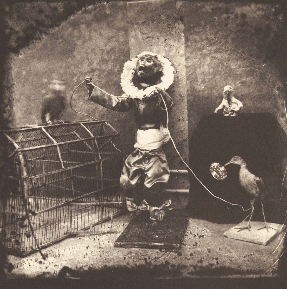 Lot #2494: JOEL-PETER WITKIN - Manuel Osorio - Original vintage photogravure