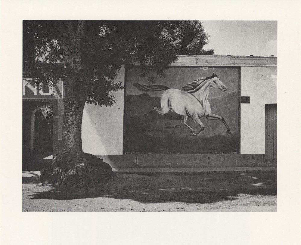 Lot #1242: MANUEL ALVAREZ BRAVO - Paisaje y Galope (Paisaje de Equitacion) - Original photogravure