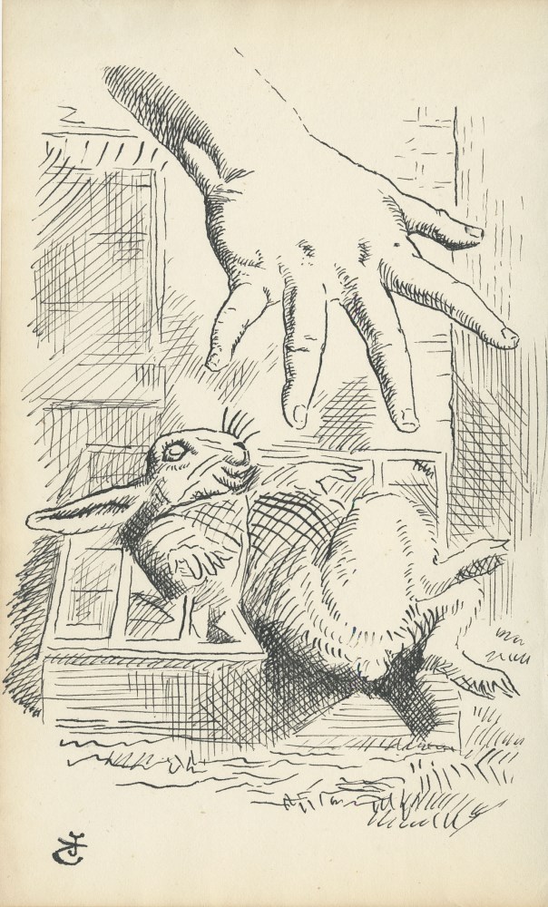 Lot #775: JOHN TENNIEL - Alice Dropping the White Rabbit - Ink on paper