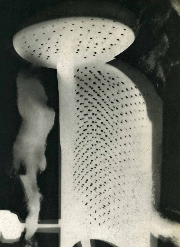Lot #2813: MAN RAY - Rayograph - Champs Delicieux #12 [variant] - Original vintage photogravure