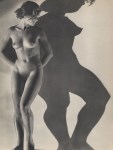 MAAR, DORA MAAR, DORA