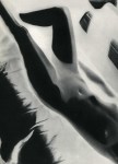 Lot #1683: LASZLO MOHOLY-NAGY - Akt #59 (negatif) - Original vintage photogravure