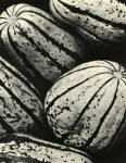 Lot #732: EDWARD WESTON - Winter Squash - Original vintage photogravure