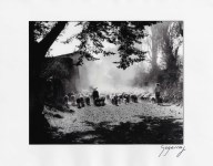Lot #1803: ENRIQUE SEGARRA LOPEZ - Borregos, Lerma, Estado de Mexico - Gelatin silver print