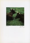 Lot #2365: HORST MUNZIG - In Auvergne, France - Vintage color photometalgraph