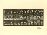 MUYBRIDGE, EADWEARD