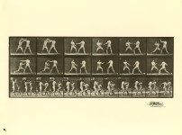 Lot #1875: EADWEARD MUYBRIDGE - Men Boxing - Original photogravure