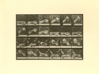 Lot #2349: EADWEARD MUYBRIDGE [d'apr&#232;s] - Hand Playing with a Ball - Original photogravure