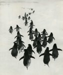 Lot #1978: GENNADY KOPOSOV - Penguins - Original vintage photogravure