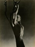 Lot #302: GEORGE PLATT LYNES - Nude Teenage Boy - Original vintage photoengraving