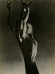 Lot #2639: GEORGE PLATT LYNES - Nude Teenage Boy - Original vintage photoengraving