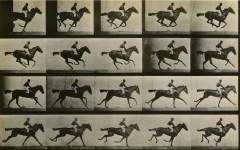MUYBRIDGE, EADWEARD [D'APRES]
