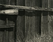 Lot #2431: ANSEL ADAMS - Old Fence - Original vintage photogravure