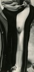 Lot #2013: ANDRE KERTESZ - Distortion #070 - Original photogravure