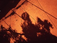 Lot #2478: PABLO AGUINACO LLANO - Sombra Naranja - Color analogue photograph