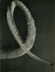 Lot #1519: R. OWEN SCHRADER - Aerial Acrobatics - Original vintage photogravure