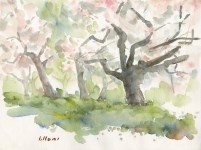 Lot #1576: UMBERTO LILLONI [d'apr&#232;s] - Bosco - Original watercolor on paper