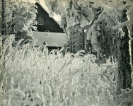 Lot #3250: RUDOLF H. HOFFMANN - White Frost - Original vintage photogravure