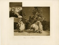 Lot #2121: FRANK JAY HAYNES - Foliage near the Geysers in Winter; Bee Hive Bridge - Original sepia-toned vintage photogravure