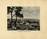 Lot #3036: KOLB BROTHERS - The "Sentinels" - A View from El Tovar - Original vintage photogravure