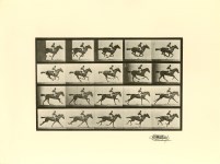 Lot #1796: EADWEARD MUYBRIDGE [d'apr&#232;s] - Jockey on Galloping Horse (The Horse in Motion) - Original photogravure