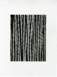 Lot #1753: TINA MODOTTI - Bamboo Shoots - Original photogravure