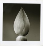 Lot #1919: JEAN-BAPTISTE HUYNH - Composition (#1), Inde - Vintage photogravure