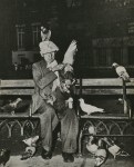 Lot #2717: WEEGEE [arthur h. fellig] - Pigeons, Washington Square Park, Greenwich Village - Original vintage photogravure