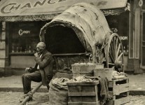 Lot #1656: EMIL OTTO HOPPE - A Colored Fruit Vendor - Original vintage photogravure