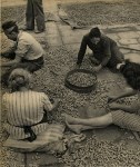 Lot #1882: HANS FINSLER - Chioggia #2 - Original vintage photogravure