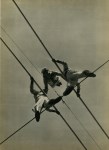 Lot #3260: VICTOR KEPPLER - Wire Walkers - Original vintage photogravure