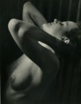 Lot #2628: MARTIN BRUEHL - Nude - Original vintage photogravure