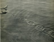 Lot #1942: ROBERT A. BARROWS - Contact - Original vintage photogravure