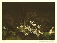 Lot #1873: ANDREW WYETH - May Day - Color offset lithograph