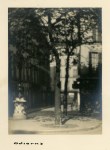 Lot #3164: WILLIAM C. ODIORNE - Trees [Paris] - Vintage platinum print