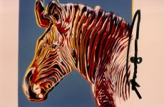 Lot #261: ANDY WARHOL - Grevy's Zebra - Original color analogue photograph