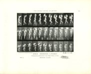 Lot #2246: EADWEARD MUYBRIDGE - Woman: Descending a Stairway - Original photomezzotint & letterpress